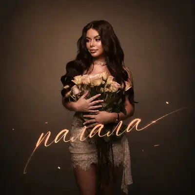 Обкладинка: Палала — ANETA