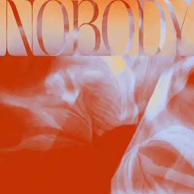 Обкладинка: Nobody — Nick En Mare