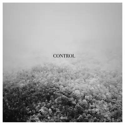 Обкладинка: Control — Linz