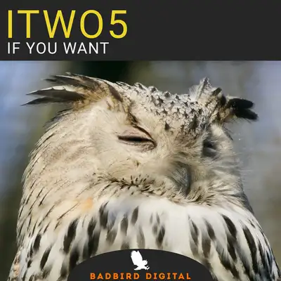 Обкладинка: If You Want - Kip5 Remix — Itwo5
