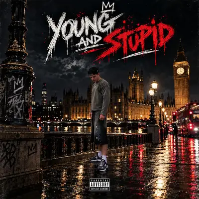 Обкладинка Verestt — Young and Stupid