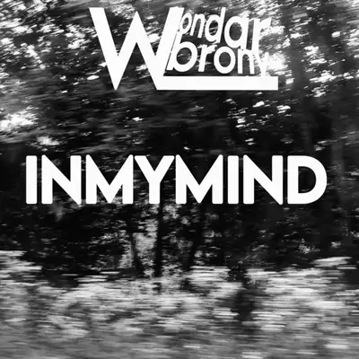 Обкладинка: INMYMIND — WondarBrony