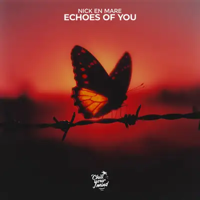 Обкладинка: Echoes of You — Nick En Mare
