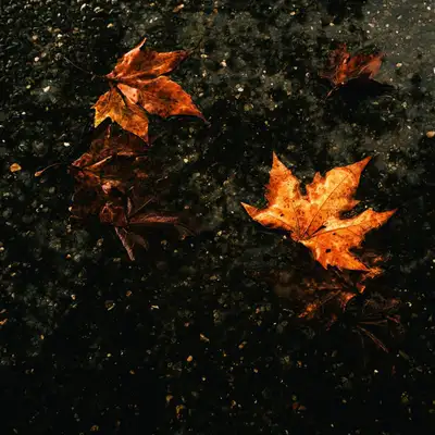 Обкладинка: Like Rain - Radio Edit — DJ SP