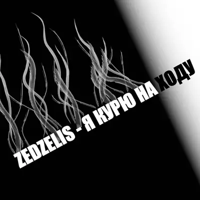 Обкладинка: Я курю на ходу — Zedzelis