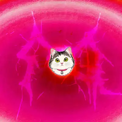 Обкладинка: MeoWWW — Fq