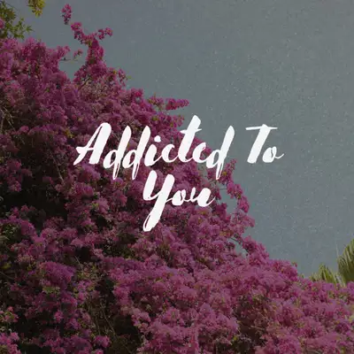 Обкладинка: Addicted To You — Dash Nova