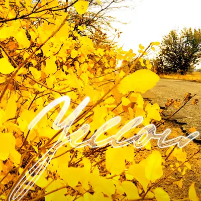 Обкладинка: Yellow - Instrumental Version — Soundcat Alex