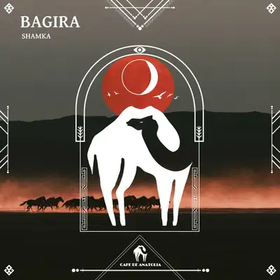 Обкладинка: Bagira — Shamka