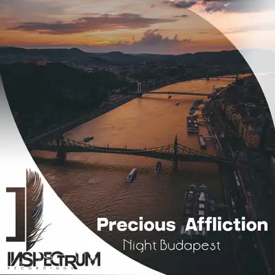 Cover art: Night Budapest — Precious Affliction