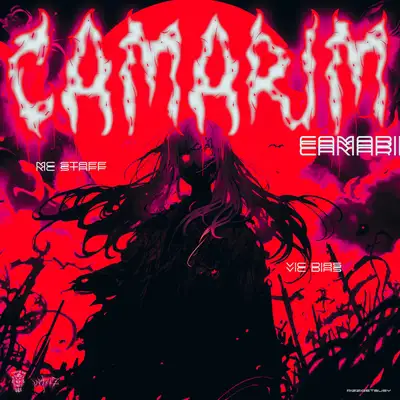 Обкладинка: CAMARIM — Mc Staff