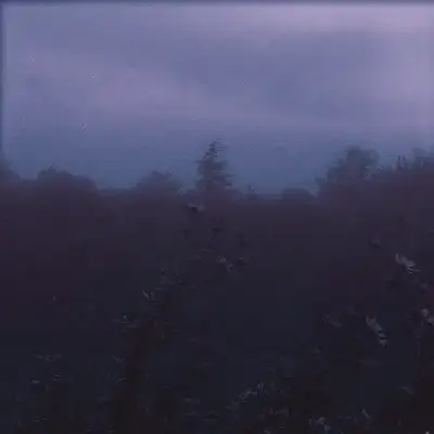 Обкладинка: bloom — Envacity