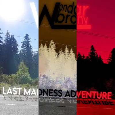 Обкладинка: Last Madness Adventure — WondarBrony