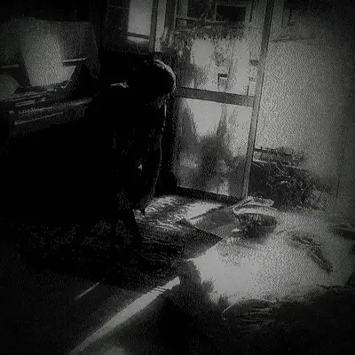 Обкладинка: insomnia — espeiyra