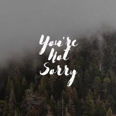 Обкладинка: You're not sorry — Dash Nova