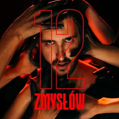 Обкладинка: 12 zmysłów — Igo