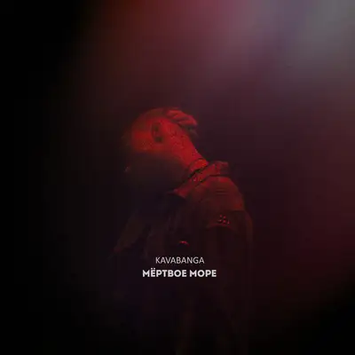 Cover art: Мёртвое море — KAVABANGA
