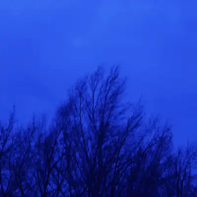 Обкладинка Morphey — Isolation