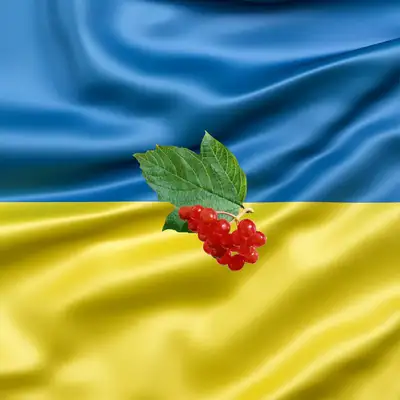 Обкладинка: Ой у лузі червона калина — KR3NK