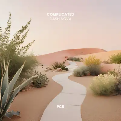 Обкладинка: Complicated — Dash Nova