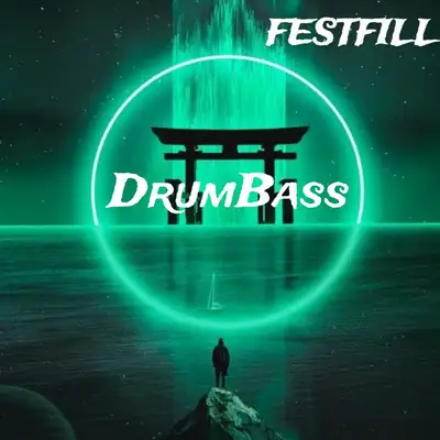 Обкладинка: DrumBass — Festfill