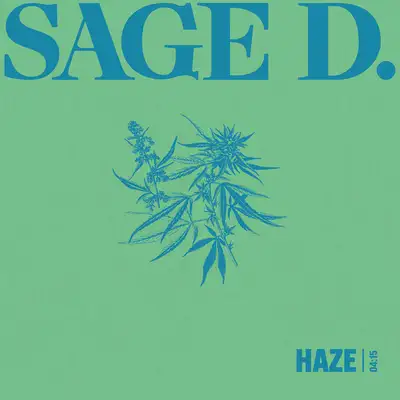 Обкладинка: Haze — SAGE D.