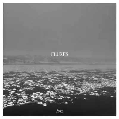 Обкладинка: Fluxes — Linz