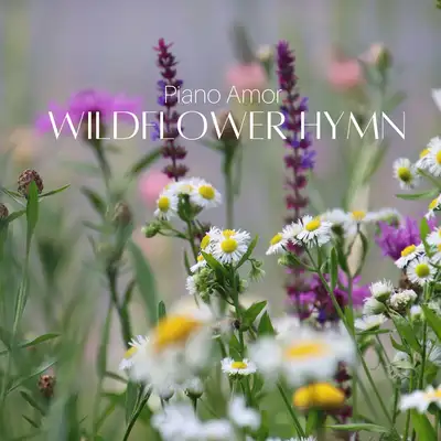 Cover art: Wildflower Hymn — Piano Amor